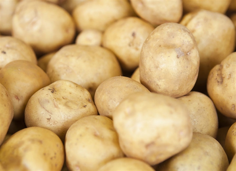 Humidificación para el almacenamiento de cosechas